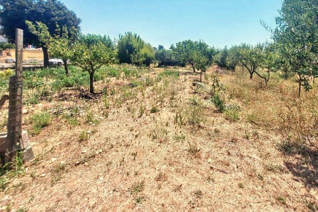 #25687 Striscia di terreno adibita verde pubblico in vendita - foto 12