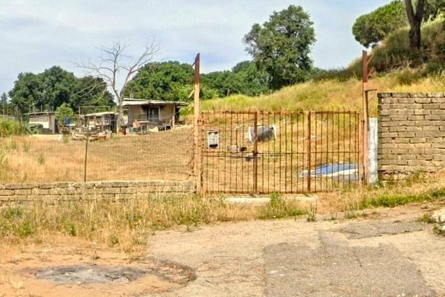 #25687 Striscia di terreno adibita verde pubblico in vendita - foto 15