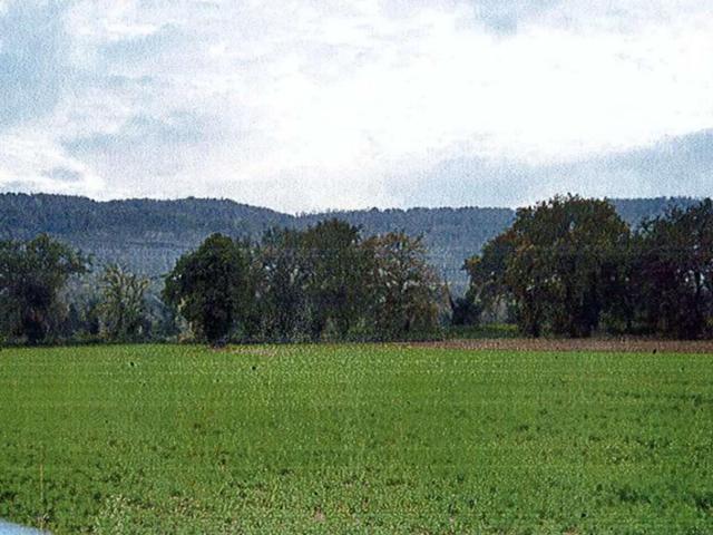 #4798 Terreno parzialmente edificabile di 48.245 mq in vendita - foto 3