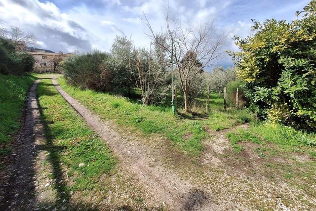 Rustici e casali in vendita