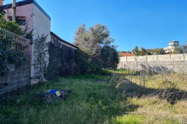 Agricoli in vendita