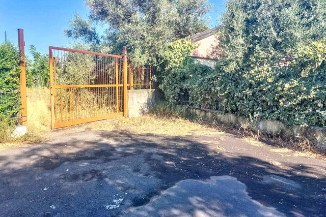 #2536953 Terreno agricolo in vendita - foto 2