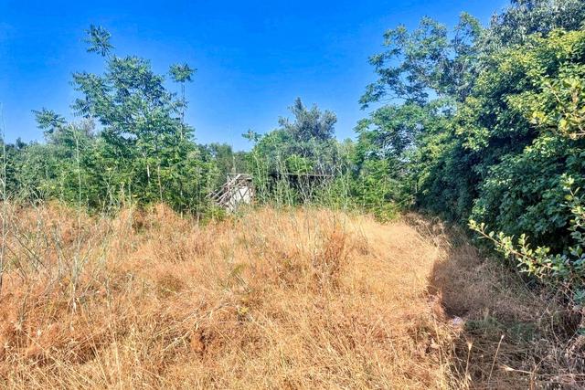 #2536953 Terreno agricolo in vendita - foto 6