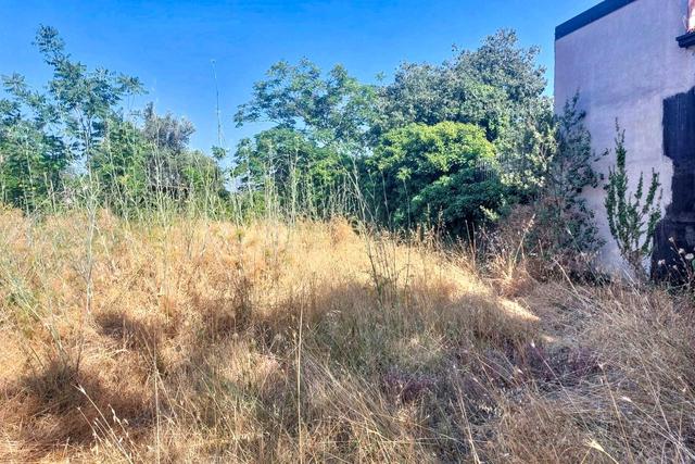 #2536953 Terreno agricolo in vendita - foto 10