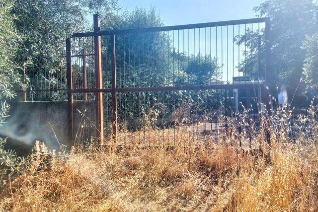 #2536953 Terreno agricolo in vendita - foto 13