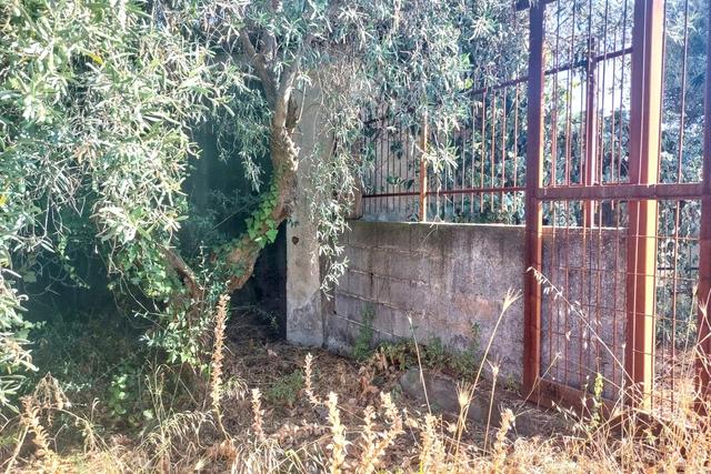Agricoli in vendita