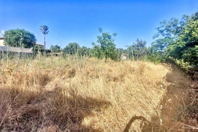 #2536953 Terreno agricolo in vendita - foto 4