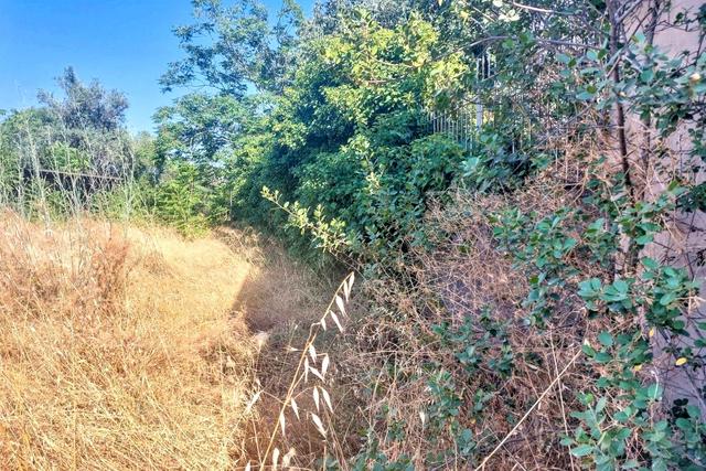 #2536953 Terreno agricolo in vendita - foto 6