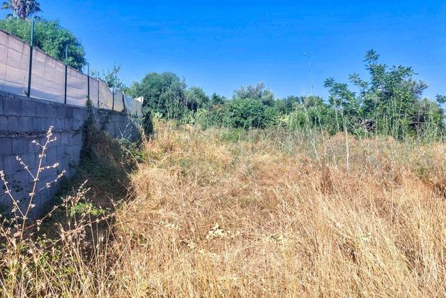 #2536953 Terreno agricolo in vendita - foto 12