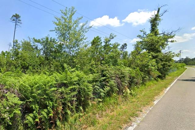 #24386 Appezzamento agricolo in zona boschiva in vendita - foto 1