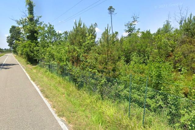 #24386 Appezzamento agricolo in zona boschiva in vendita - foto 2