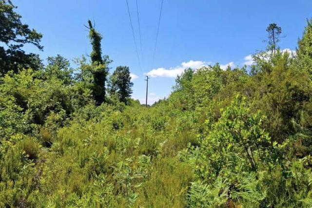 #24386 Appezzamento agricolo in zona boschiva in vendita - foto 5