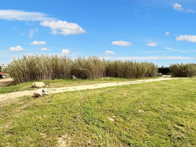 Agricoli in vendita