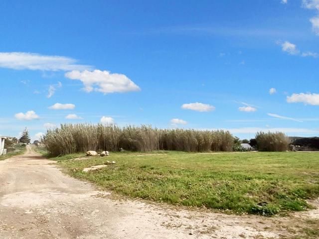 Agricoli in vendita