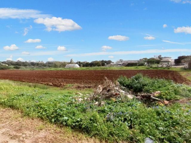 #23581 Terreni agricoli di 20004 mq in vendita - foto 13