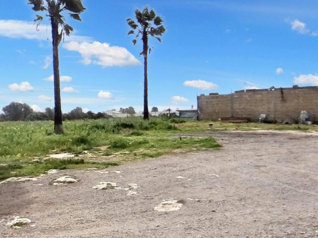 Agricoli in vendita