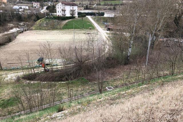 #19973 Terreno agricolo di 9370 mq in vendita - foto 4