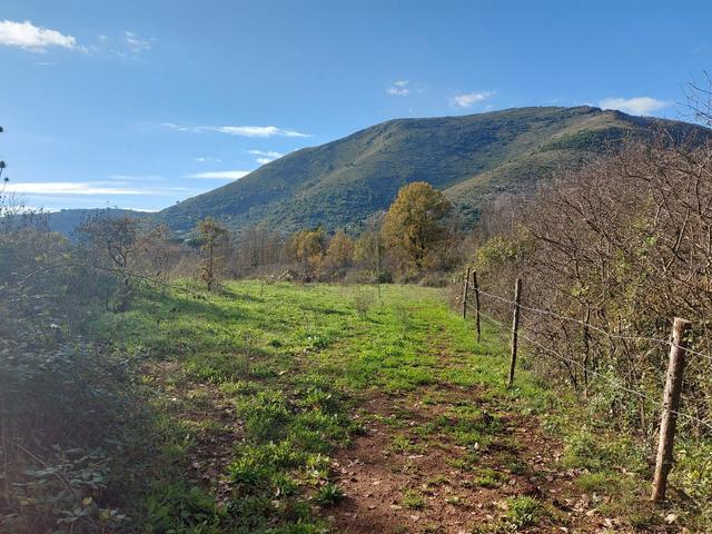 Agricoli in vendita
