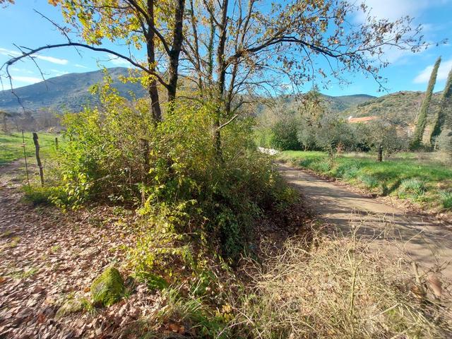 #2537440 Terreni agricoli con potenzialità turistica in vendita - foto 7