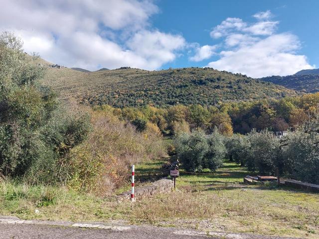 #2537440 Terreni agricoli con potenzialità turistica in vendita - foto 9