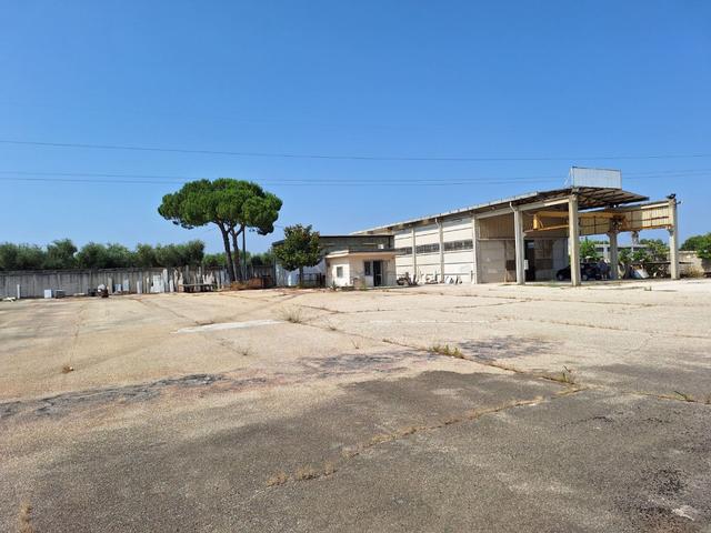 #2537076 Bitritto – Opificio Industriale con Alta Visibilità autostrada A14 in vendita - foto 3