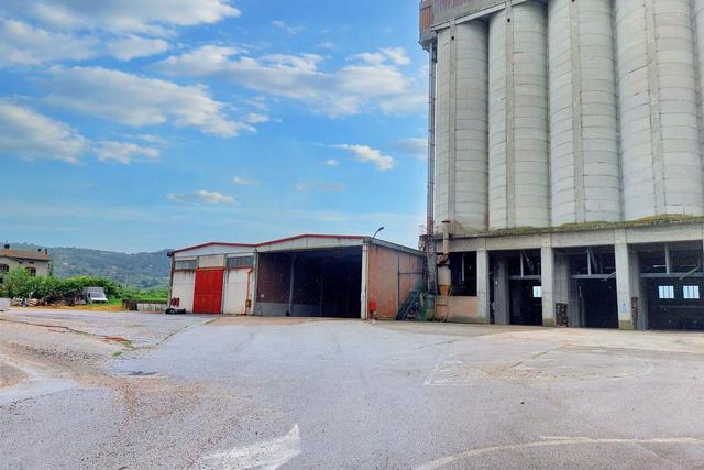 #20769 Complesso agro-industriale con impianto fotovoltaico in vendita - foto 17