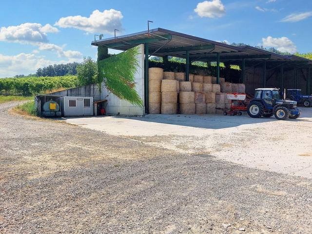 #21124 Compendio immobiliare con fabbricati e terreni ad uso vitivinicolo in vendita - foto 38