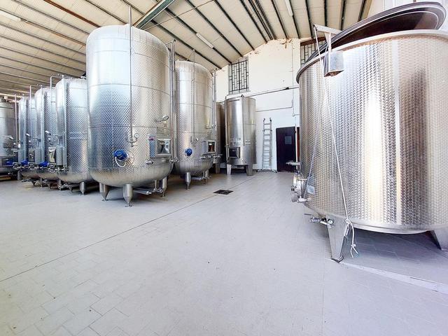 #21124 Compendio immobiliare con fabbricati e terreni ad uso vitivinicolo in vendita - foto 42