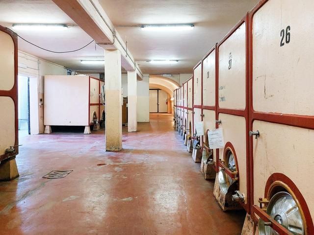 #21124 Compendio immobiliare con fabbricati e terreni ad uso vitivinicolo in vendita - foto 43