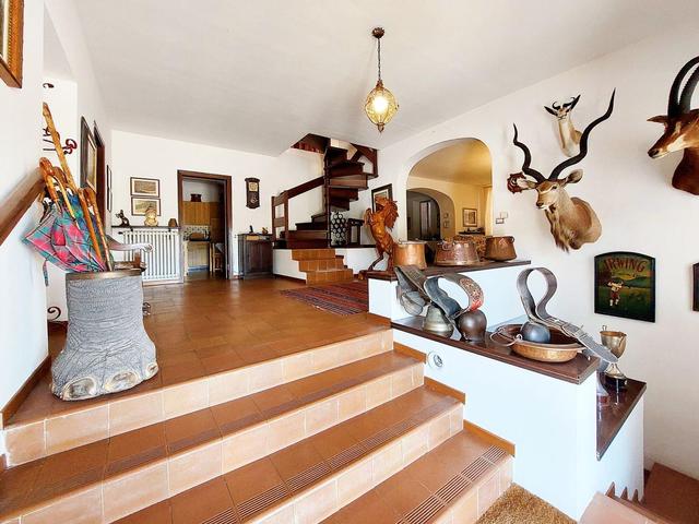 #21124 Compendio immobiliare con fabbricati e terreni ad uso vitivinicolo in vendita - foto 5