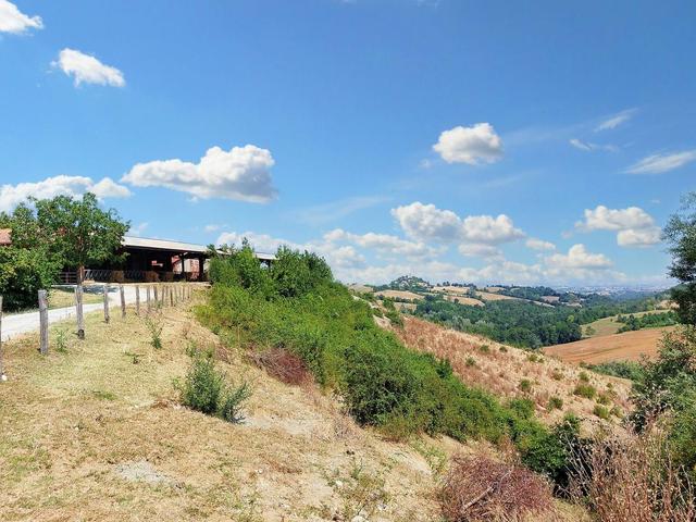 #21124 Compendio immobiliare con fabbricati e terreni ad uso vitivinicolo in vendita - foto 23