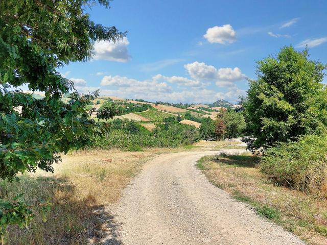 #21124 Compendio immobiliare con fabbricati e terreni ad uso vitivinicolo in vendita - foto 32