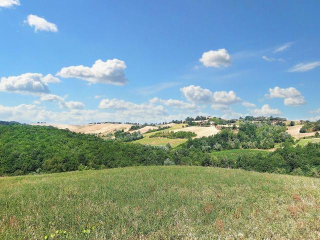 #21124 Compendio immobiliare con fabbricati e terreni ad uso vitivinicolo in vendita - foto 31