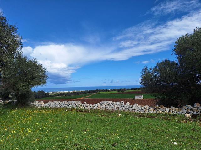 Edificabili in vendita