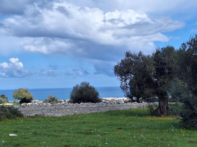 Edificabili in vendita