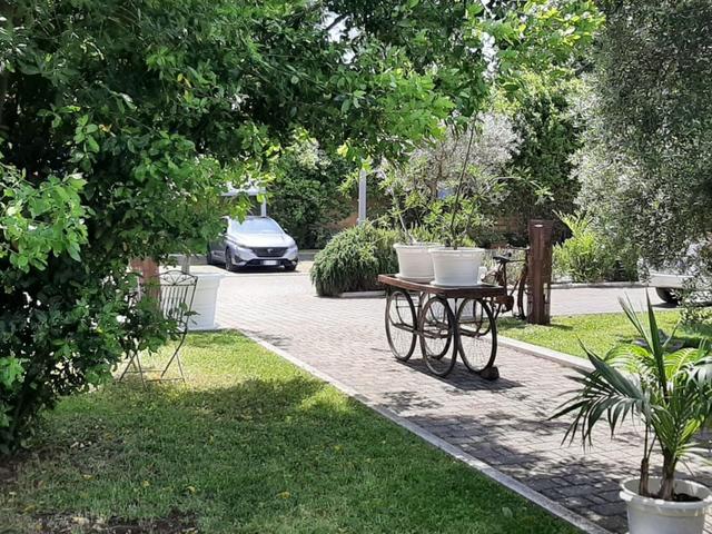 #2536514 Vendesi Attività Avviata Putignano Ristorante in centro in vendita - foto 13