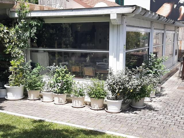 #2536514 Vendesi Attività Avviata Putignano Ristorante in centro in vendita - foto 19