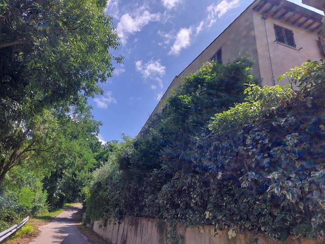 Appartamenti in vendita