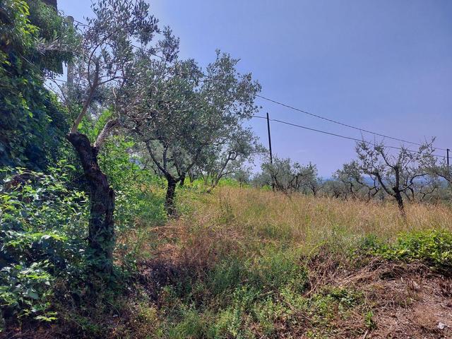 Appartamenti in vendita