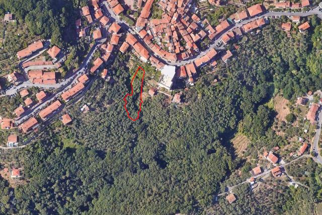 #2638774 Terreni agricoli per 11.570 mq in vendita - foto 4