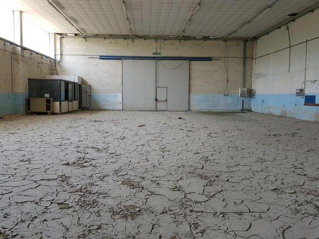 #24540 Complesso produttivo con palazzina uffici in vendita - foto 20