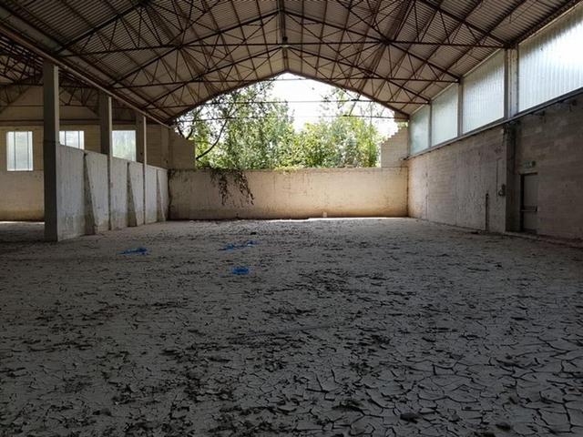 #24540 Complesso produttivo con palazzina uffici in vendita - foto 17