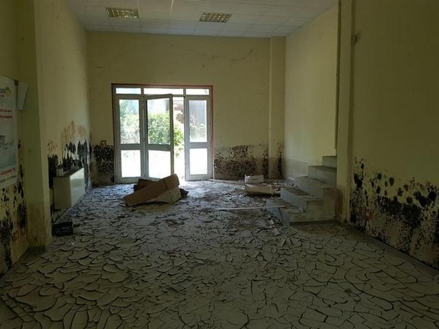 #24540 Complesso produttivo con palazzina uffici in vendita - foto 14