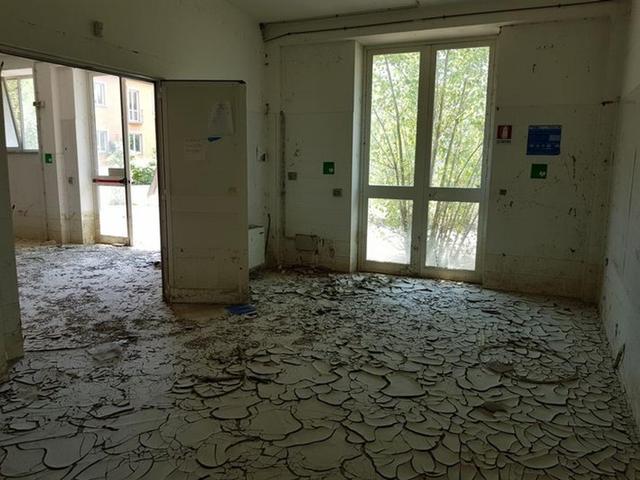 #24540 Complesso produttivo con palazzina uffici in vendita - foto 2