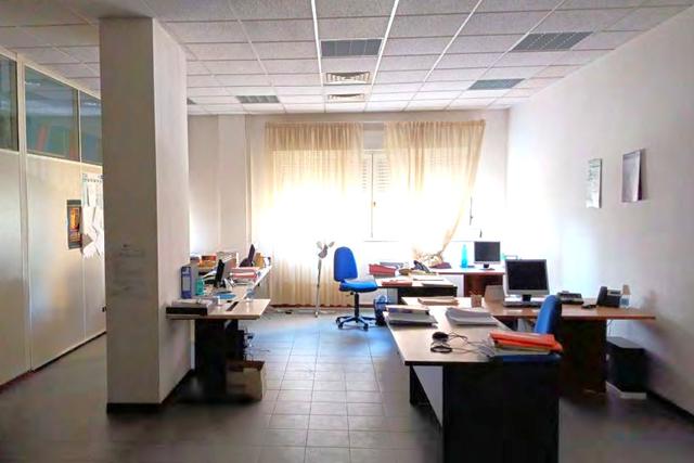 Grandi dimensioni in vendita
