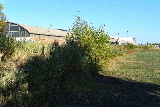 Edificabili in vendita