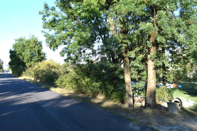 Edificabili in vendita