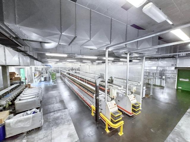 Stabilimenti produttivi in vendita