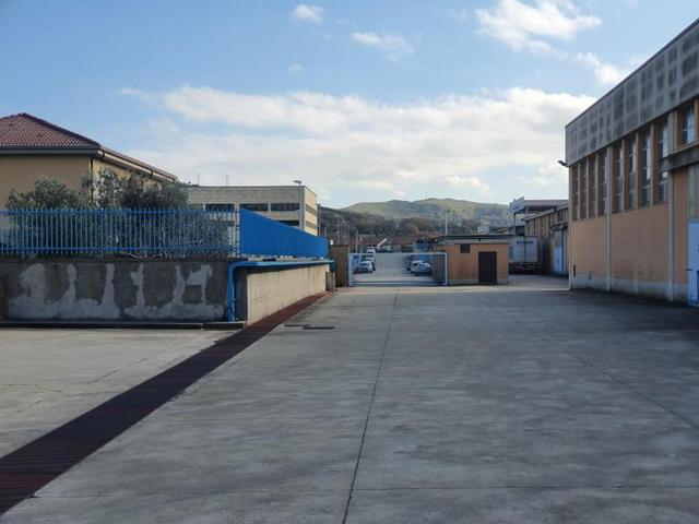 photogallery 3