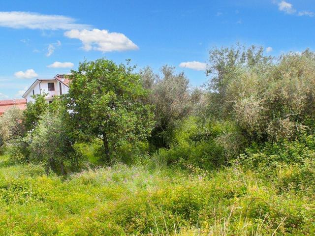 #24780 Lotti edificabili a destinazione residenziale in vendita - foto 6